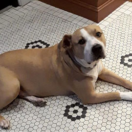 Duncan